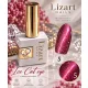 Ice Cat eye Liquid poly gel 15ml/ #5