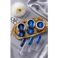 ICE Cat Eye Liquid poly gel 